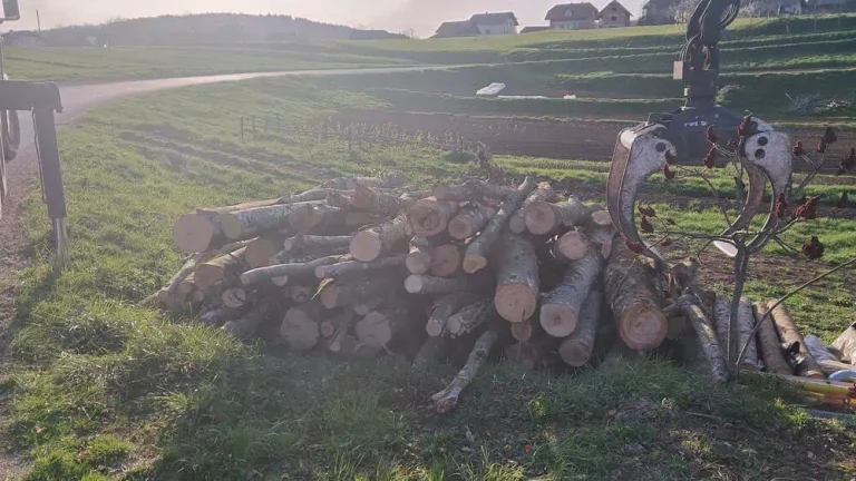 nakladanje lesa na prikolico in odvoz lastniku na dom