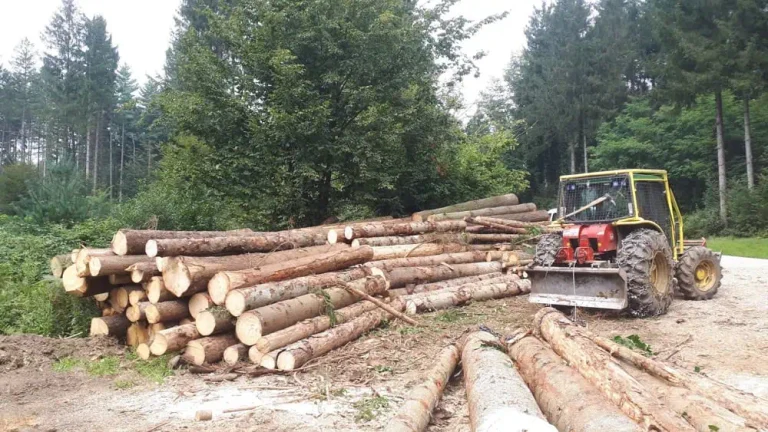 gozdarski traktor in spravilo lesa